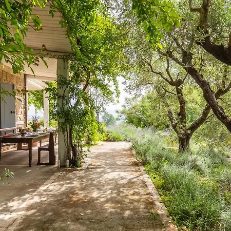 Farm stay Tenuta Colle Sala - & 