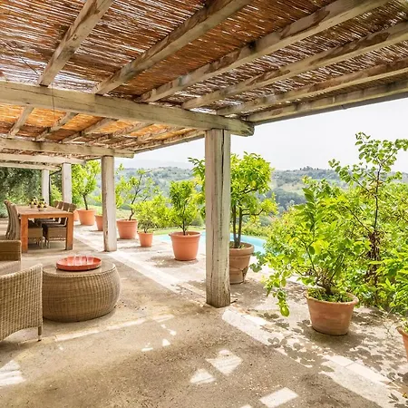 Tenuta Colle Sala - & 